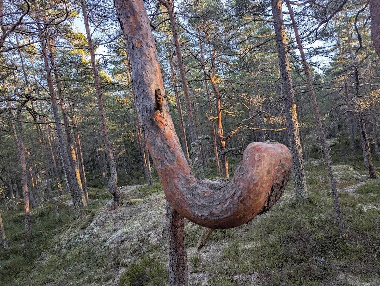 2026 &ndash; friluftsliv, fellesskap og beredskap